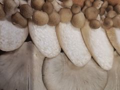 -蝎王府羊蝎子(西直门店)