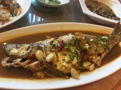 -孔庆璞河豚馆(白玉兰酒店)