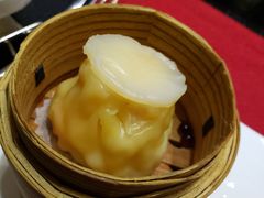 -诺莱仕游艇会
