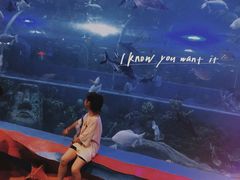 -白鹿仓冰雪海洋世界