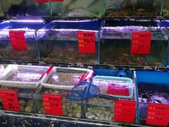 水产区-金海湾海鲜排档(朱家尖店)