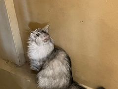 -天井·丑面包搭咖啡