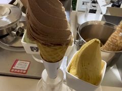 -野人先生现做冰淇淋(北京环宇荟店)