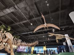 -国家自然博物馆