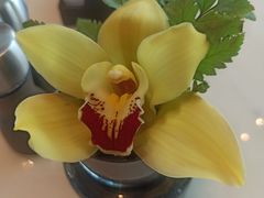 -广州四季酒店·意珍·意式自助餐