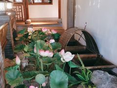 -紫腾大院·南京菜(江宁店)