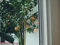 -洪小鹏生活美学馆(领SHOW天地店)