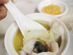 -港升鱼师傅·中山脆肉鲩