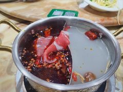 -清真军邺·金富苑肥牛(石坡街旗舰店)