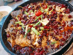 -老板恋上鱼(恒隆广场店)