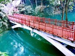 -之江大学-旧址