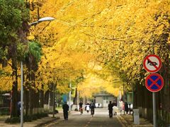 -四川大学(华西校区)