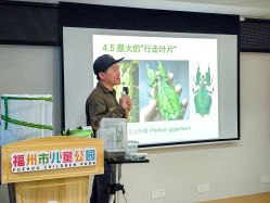 -福州儿童公园