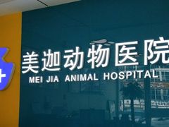 -美迦爱-牙专科·兔科·骨科诊疗中心(北苑店)