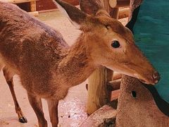 -正佳雨林生态植物园