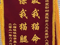 -美迦爱动物医院·夜诊(朝阳路诊疗中心)