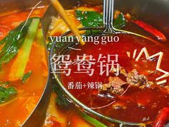 -手选潮汕鲜牛肉火锅(二七广场店)