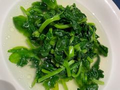 鸡汤高山大豆苗-老吉堂上海本帮菜(工体店)