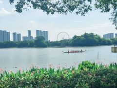 -顺峰山公园