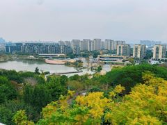 -飞凤山奥体公园