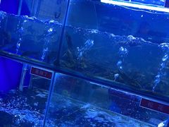 -石锅苗苗鱼(武汉首店)