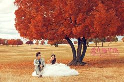 -施华洛婚纱摄影会所(范阳中路店)