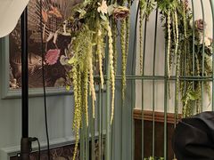 -春风·有糖(崇宁路店)