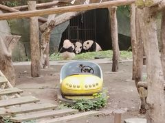 -重庆动物园·东二门售票处