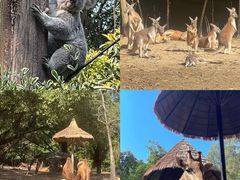 -广州长隆野生动物世界