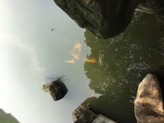 -白马涧龙池景区