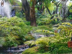 -Chom Cafe and Restaurant