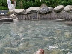-英德宝晶宫天鹅湖茶语温泉