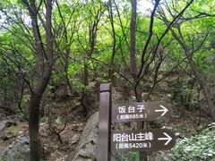 -阳台山自然风景区