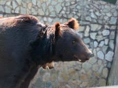 -云南野生动物园