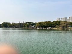 -新洲生态园