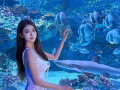 -海合安成都极地海洋公园