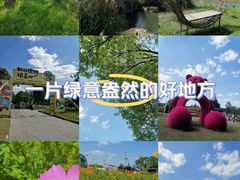 -嘉北郊野公园北游客中心-地上停车场