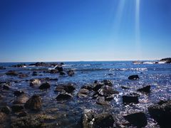 -海合安青岛极地海洋公园