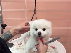 -FAELING PETS美天灵宠物(合生汇店)