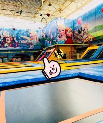 -爱丽丝奇幻乐园