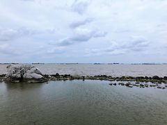 -上海吴淞炮台湾国家湿地公园