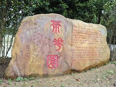 -广州市帽峰山景区