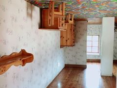 -金山农民画村-枫泾波兰倒置屋