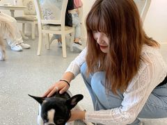 -Let's go狗咖·猫咖·奶狗·桌游(春熙路IFS店)