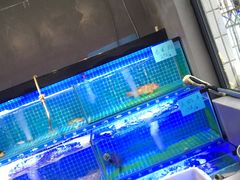 水产区-阿毛饭店(和义路店)