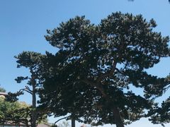 -妙峰山风景名胜区