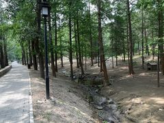 -白水寺森林公园