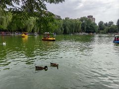 -莲湖公园