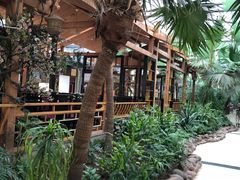 -陶然居·重庆菜(生态园店)