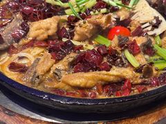 -老板恋上鱼(恒隆广场店)